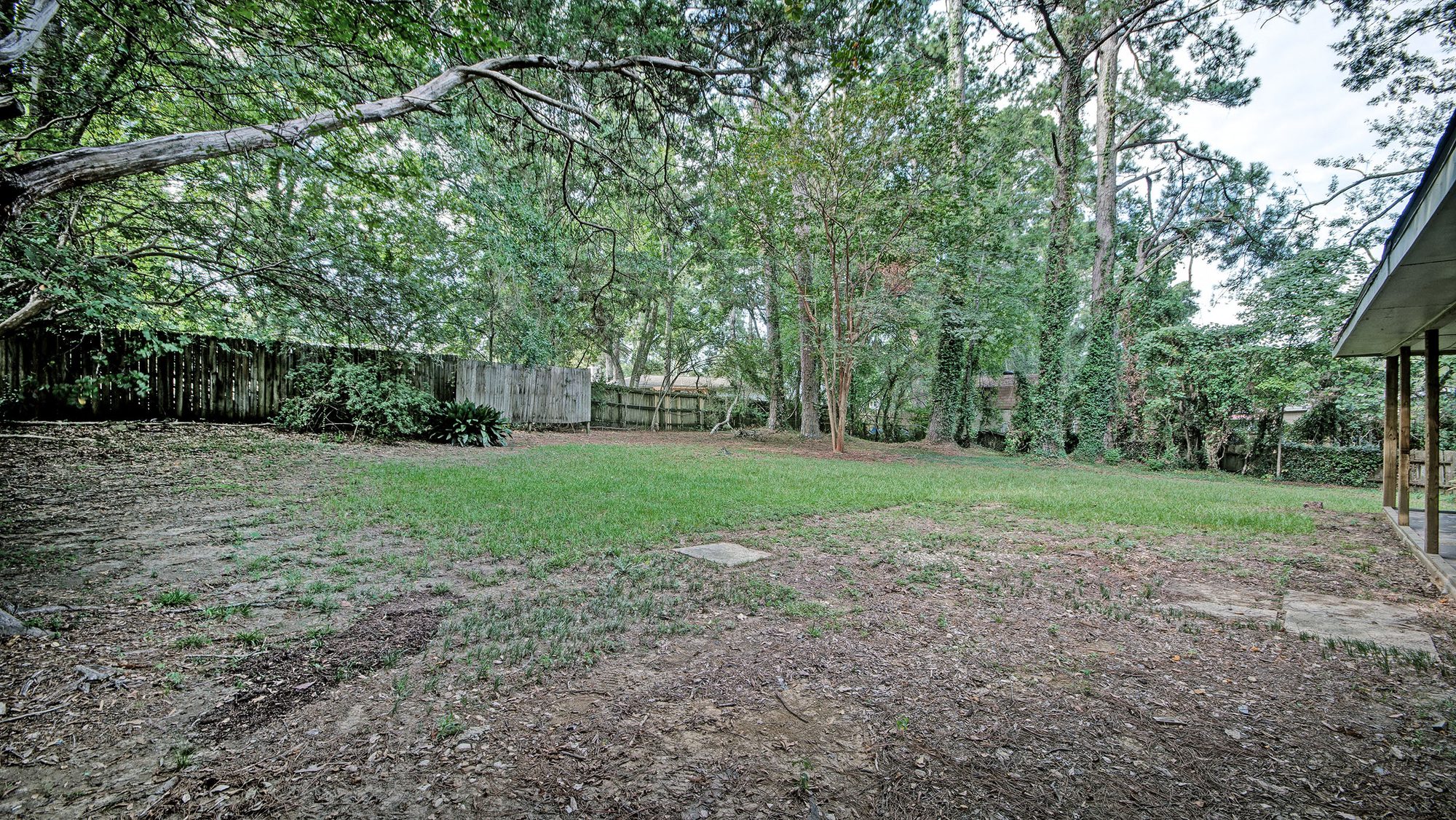 Fenced, wooded backyard